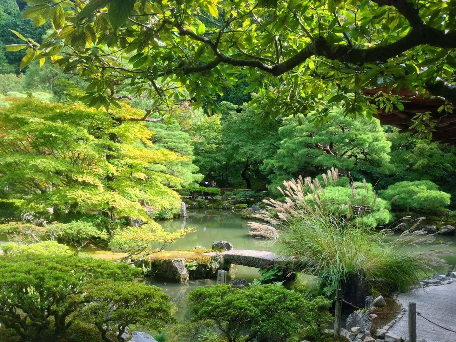 Kyoto—harmony is not accidental